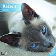 Katzen 2010 Art12-Collection: Brosch�renkalender