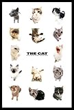 Cat List Kitten Cute Animal Pets Adorable Art Framed Poster Print - 24 X 36