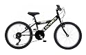 Elswick Kinder Fahrrad Sword, schwarz, Reifengröße: 20 Zoll (51 cm), 2432W20