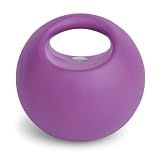 Valeo 3-Pound Weighted Handle Ball