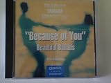 Because of You - Beautiful Ballads Pianosoft 3.5 Diskette