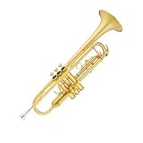 Cecilio Gold Plated Sandblast B Flat Trumpet with Hard Shell Carrying Case and Accessories - B000EQ7VHK
