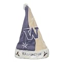 Washington Huskies Santa Hat