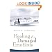 Healing for Damaged Emotions (David Seamands Series)