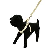 Wagging Green Organic Bamboo Solid Color Dog Harness