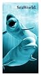 Beluga Buddies Towel