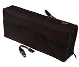  : Currie Technologies (Schwinn, Mongoose, GT, IZIP Scooters) 36 Volt 10 Ah Plug & Play Battery Pack Accessories