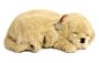 Perfect Petzzz�, GOLDEN RETRIEVER