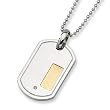14K Gold Plated Stainless Steel and Diamond Dog Tag and 24 Inch Bead Chain