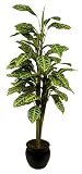 5ft Croton Plant - Artificial Plant