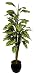 5ft Croton Plant - Artificial Plant