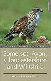Where to watch birds in Somerset, Gloucestershire and Wiltshire