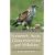 Where to Watch Birds in Somerset, Gloucestershire and Wiltshire (Where to Watch Birds)