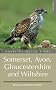 Where to Watch Birds in Somerset, Gloucestershire and Wiltshire (Where to Watch Birds)