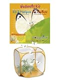 Schmetterlings Beobachtungsset, Entdecken und Forschen, HCM - 