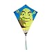 Go Fly A Kite Shrek Nylon Diamond Kite