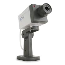 SVAT ISC100 Indoor Imitation Security Camera w/Motion Detection and Blinking LED