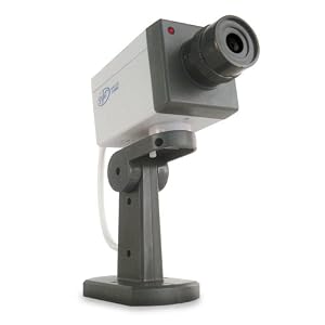 SVAT ISC100 Indoor Imitation Security Camera w/Motion Detection and Blinking LED