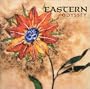 Eastern Odyssey