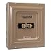 Reliance Controls TCA1006D Panel/Link 100-Amp Utility/60-Amp Generator Transfer Switch For Up To 15000-Watt Generators