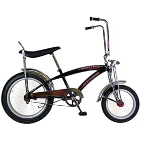 Schwinn 20-Inch Manta Ray Bike by Schwinn