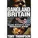British and American-Irish Mobs and the Mafia