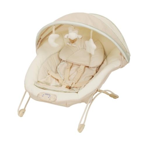 Graco Soothe and Swaddle Soothing Seat