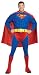 Search : Adult Plus Size Deluxe Superman Costume