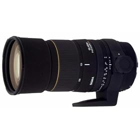 Sigma 135-400mm f/4.5-5.6 APO DG SLD Telephoto Zoom Lens for Olympus and Panasonic Digital SLR Cameras