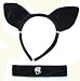 Cat Ears Aliceband and Collar Set - Hen Party/Fancy Dress