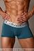 Calvin Klein Steel Cotton Trunk Boxer-Brief - Billard Green Image