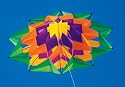 Lotus Single Line Box Kite