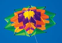 Lotus Single Line Box Kite