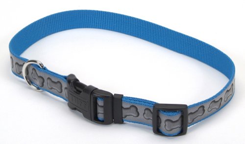 Lazer Brite Reflective Dog Collar - 18-26-Inches - Turquoise with Bones
