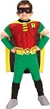 Child's Deluxe Muscle Chest Robin Costume (Youth 12-14)