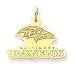 14K Baltimore Ravens Large Logo w/Name Charm