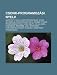 Csonk-programozási nyelv: JavaScript, Ciklus, Szoftvertesztelés, Xcode, Whitespace programozási nyelv, Ersen típusos programozási nyelv, Logo (Hungarian Edition)