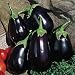 Black Beauty Eggplant - 150 Seeds
