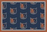 Charlotte Bobcats Rugs NBA Team Rugs