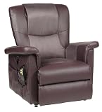 NexIdea Obus Forme LUXE1 3-Position Electric Motorized Lift and Recline Chair, Plum