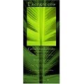Geburtstagskalender. Evergreens. (Immerw�hrender Kalender)