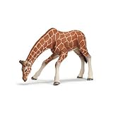 Giraffe Female Drinking from Schleich Toys