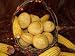 Sugar Free CornBread Muffins 12 pack KOSHER