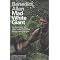 Inspiring travel books