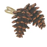 Expressions Pinecone Lodge Set of 12 Shower Hooks