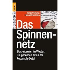 Das Spinnennetz (Taschenbuch)
