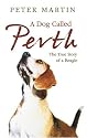 A Dog Called Perth: The True Story of a Beagle