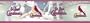 Blue Mountain Wallcoverings 5815421 St. Louis Cardinals MLB Prepasted Wall Border, 6-Inch by 15-Foot