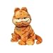 Ty Garfield
