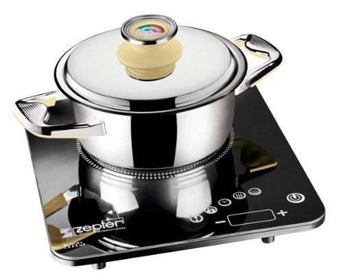 Zepter Pot Masterpiece Cookware Model # Tf-030-20